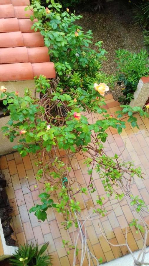 Maison Charmante A Sainte-Marie Avec Grand Jardin 外观 照片